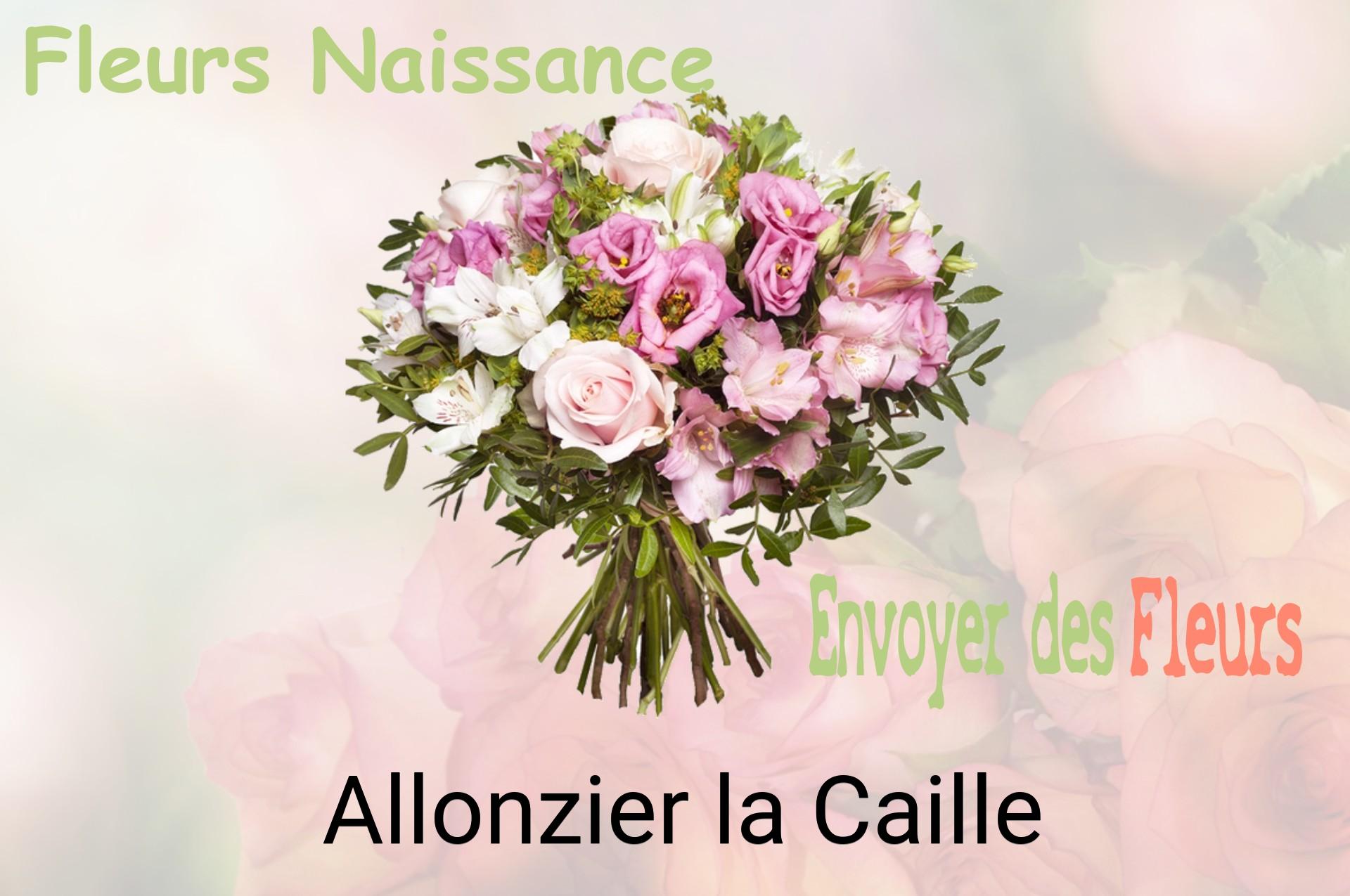Bouquet de fleurs de naissance livré à Allonzier-la-Caille